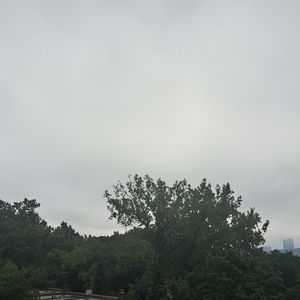 Meet your Posher, Rolando